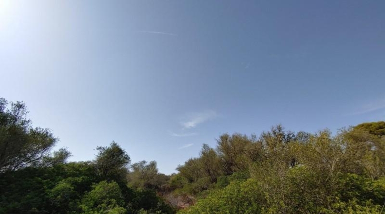 Balearic Islands - Lluchmayor - 229000m2