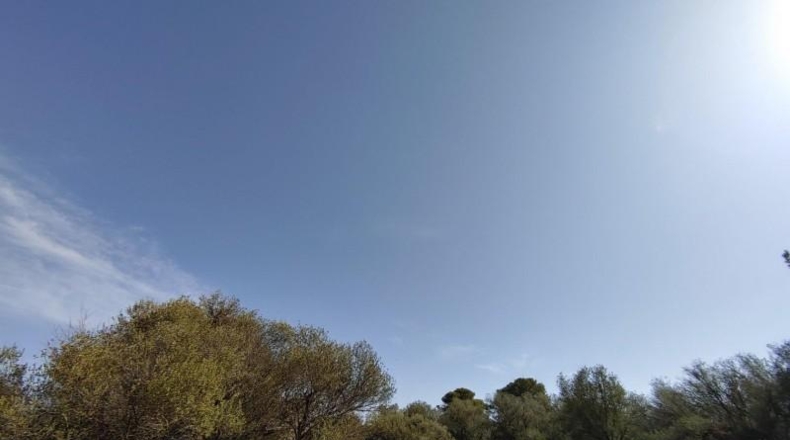 Balearic Islands - Lluchmayor - 229000m2