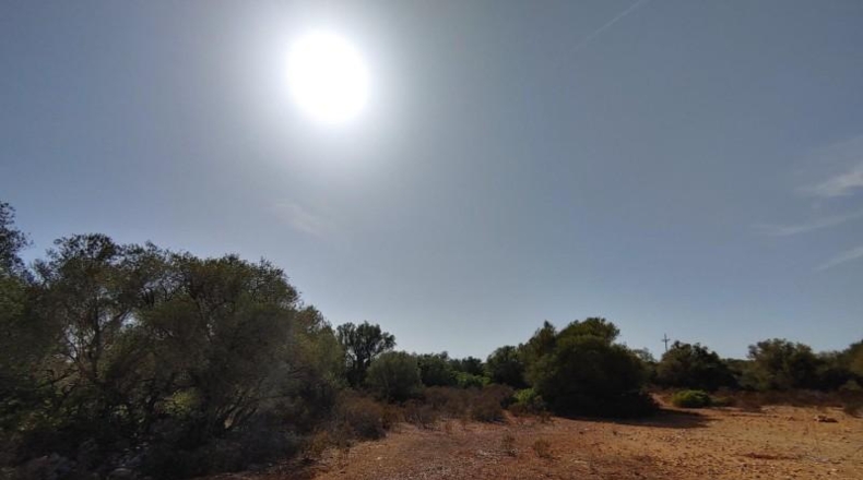 Balearic Islands - Lluchmayor - 229000m2