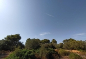 Terreno no urbanizable en venta en la España, Llucmajor, ref: TR169294 foto