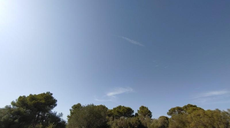 Balearic Islands - Lluchmayor - 229000m2