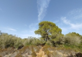 Terreno no urbanizable en venta en la España, Llucmajor, ref: TR169294 foto