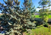 Finca rústica en venta en la España, Lorca, ref: TR301178 foto