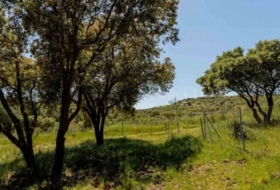 Valdemorillo 600000&nbsp;m²