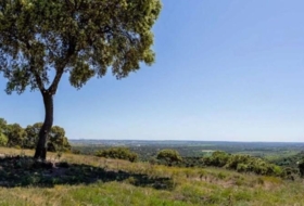 Valdemorillo 600000&nbsp;m²