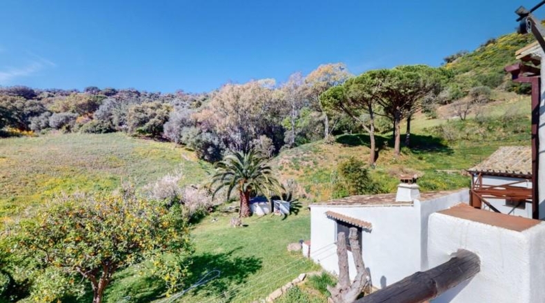 Málaga - Casares - 30000m2