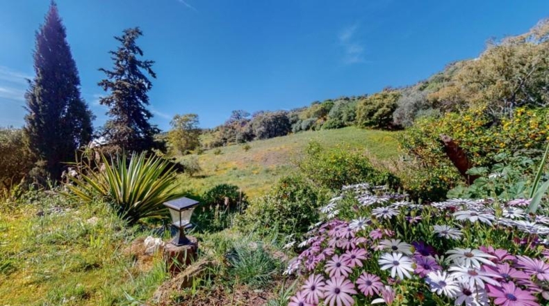 Málaga - Casares - 30000m2