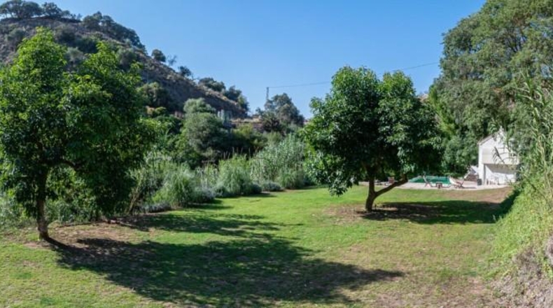 Malaga - Guaro - 15600m2
