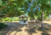 Rural estate for sale on España, Alaior, ref: TR313262 photo