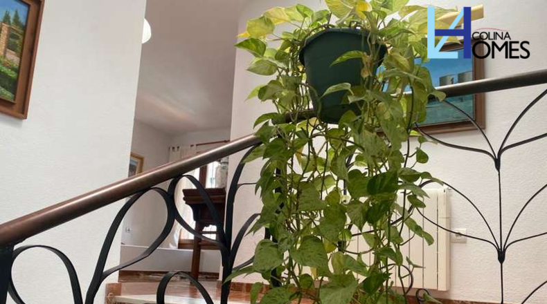 Granada - Churriana de la Vega - 1500m2