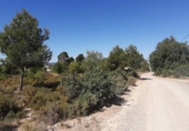 Parcela urbanizable en venta en la España, Bétera, ref: TR125424 foto