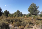 Parcela urbanizable en venta en la España, Bétera, ref: TR125424 foto