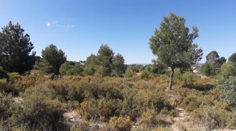 Valencia - Bétera - 10m2