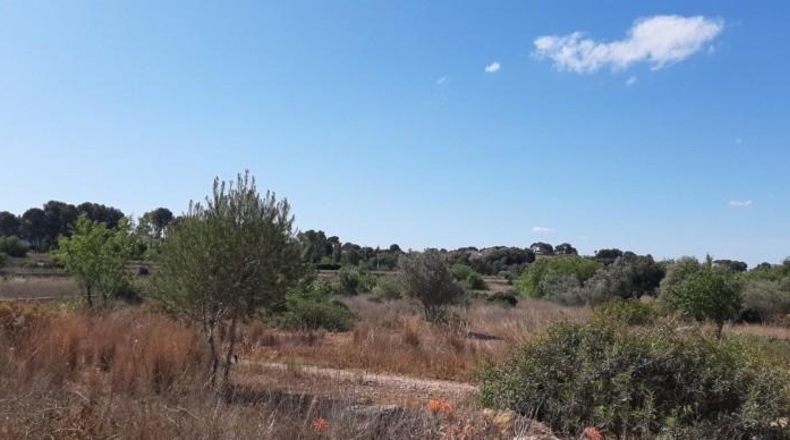 Valencia - Bétera - 10m2