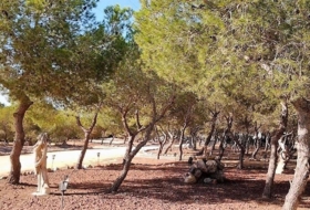 Foto 10
