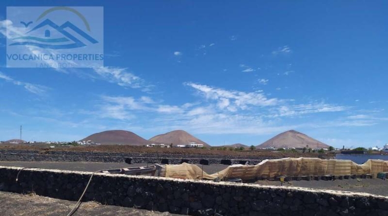 Las Palmas - Tías - 12587m2