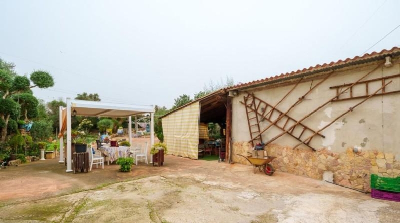 Islas Baleares - Urbanització Hort des Caülls - 8022m2