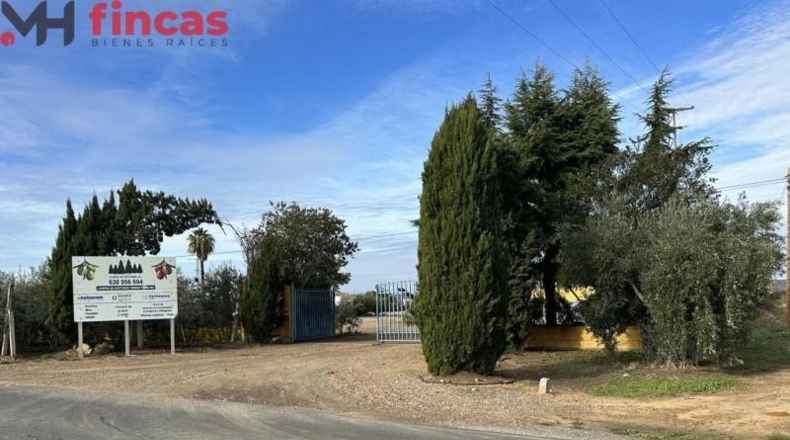 Badajoz - Villagonzalo - 9738m2
