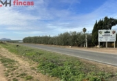 Xalet independent amb terreny en venda a la España, Villagonzalo, ref.: TR249454 foto