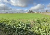 Parcela urbanizable en venta en la España, Gibraleón, ref: TR228284 foto