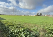 Parcela urbanizable en venta en la España, Gibraleón, ref: TR228284 foto