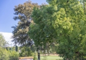 Parcela urbanizable en venta en la España, Bétera, ref: TR388541 foto