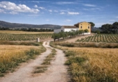 Detached villa with land for sale on España, Villena, ref: TR398480 photo