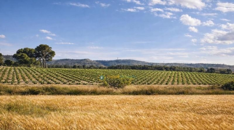 Burgos - Villatuelda - 1203929m2