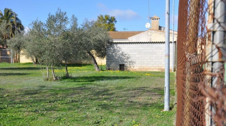 Sevilla - Palomares del Río - 6977m2