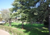 Chalet independiente con terreno en venta en la España, Palomares del Río, ref: TR224599 foto