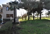 Chalet independiente con terreno en venta en la España, Palomares del Río, ref: TR224599 foto