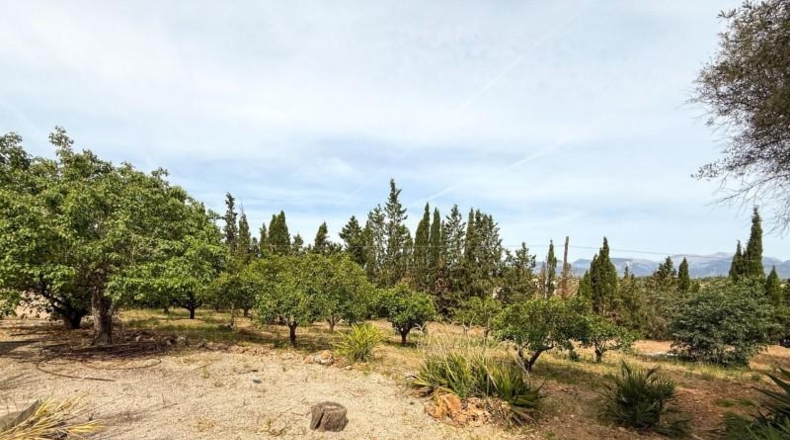 Islas Baleares - Sencelles - 16467m2