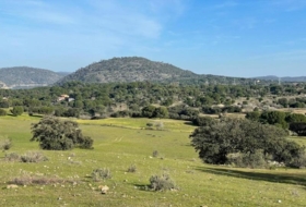 San Martín de Valdeiglesias 100000&nbsp;m²