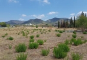 Suelo urbano en venta en la España, Olesa de Montserrat, ref: TR122176 foto
