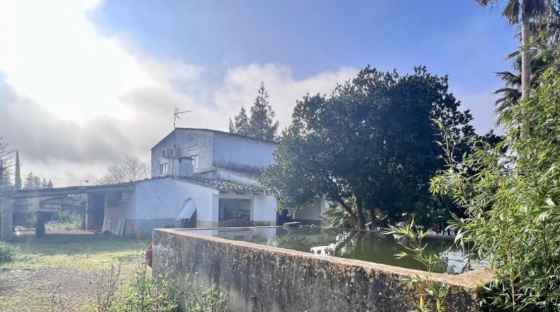 Islas Baleares - Campanet - 4275m2