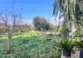 Chalet independiente con terreno en venta en la España, Campanet, ref: TR321048 foto
