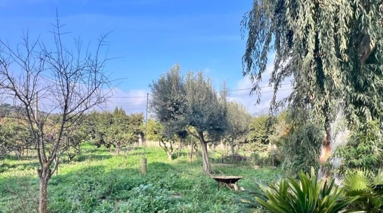 Islas Baleares - Campanet - 4275m2
