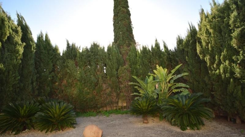 Illes Balears - Muro - 806m2
