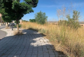 Foto 15