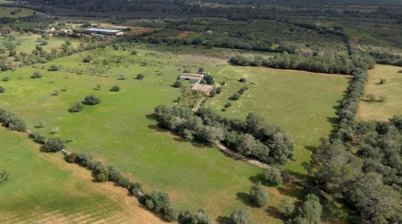 Islas Baleares - Porreras - 100000m2