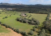 Casa de campo con terreno en venta en la España, Porreras, ref: TR402815 foto