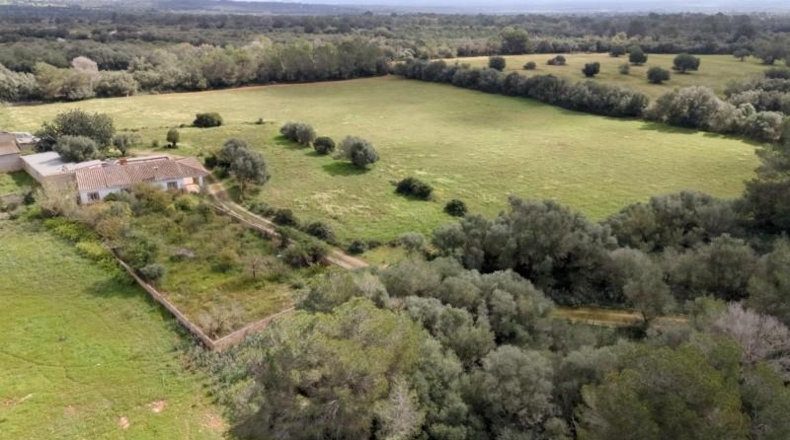 Islas Baleares - Porreras - 100000m2