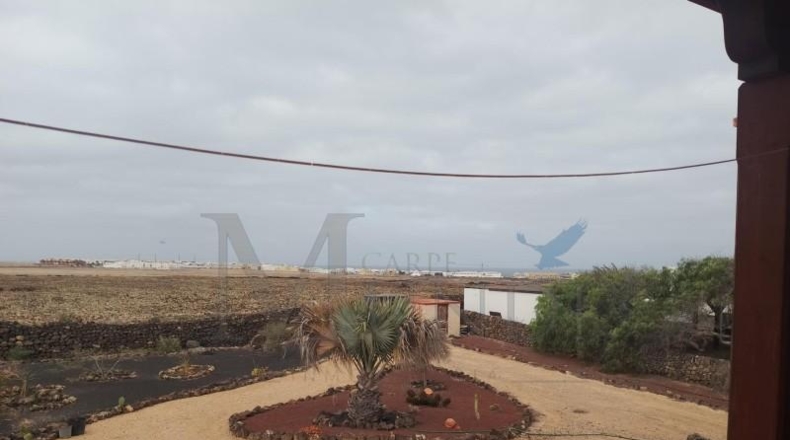 Las Palmas - La Oliva - 3229m2