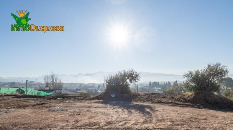 Granada - Peligros - 2918m2