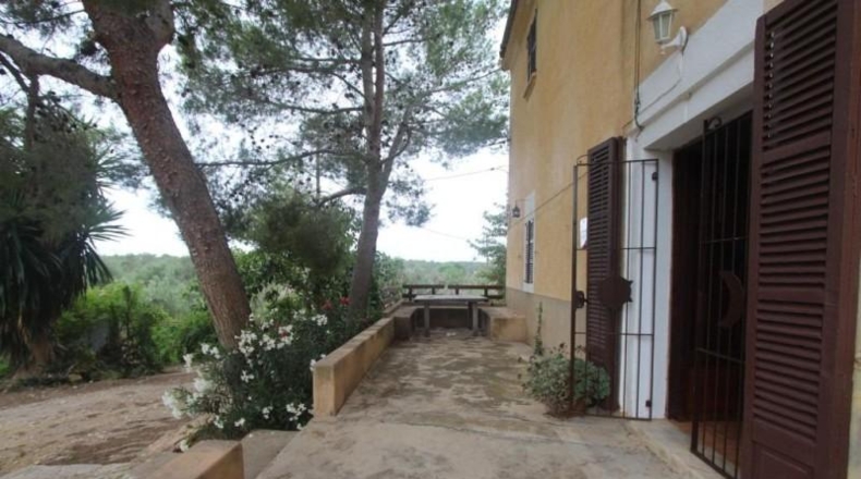 Illes Balears - San Juan - 37409m2