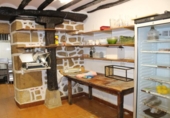 Casa de campo con terreno en venta en la España, San Sebastián, ref: TR163002 foto