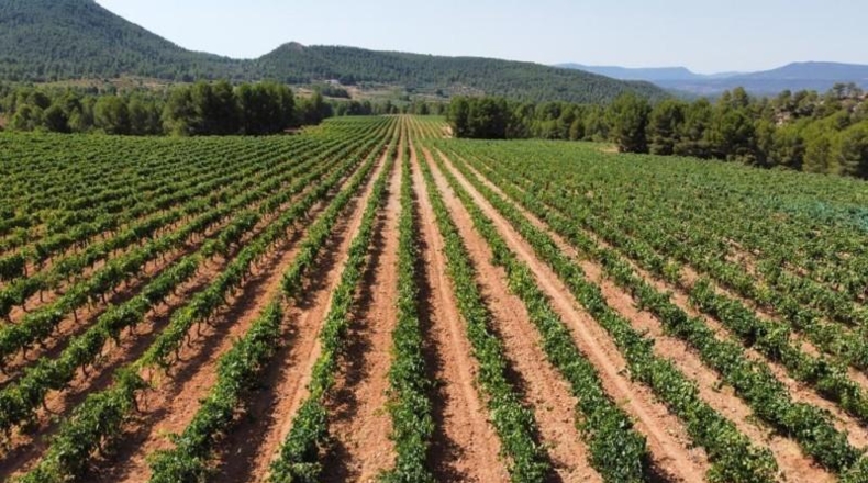Valencia - Ayora - 2090000m2