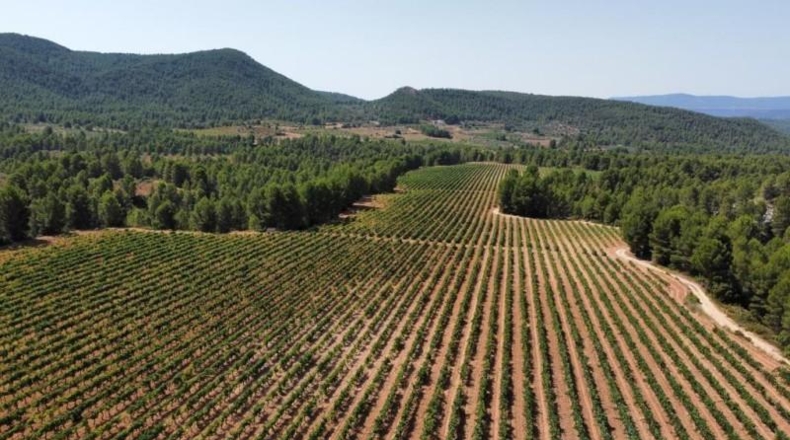 Valencia - Ayora - 2090000m2