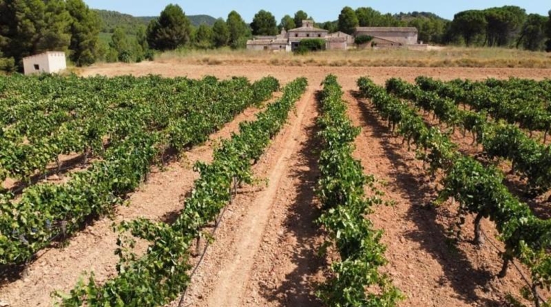 Valencia - Ayora - 2090000m2
