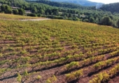 Terreno no urbanizable en venta en la España, Ayora, ref: TR129169 foto